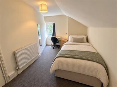Picture 11
